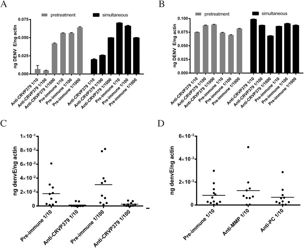 CRVP379 antisera blocks infection of DENV in mosquitoes.
