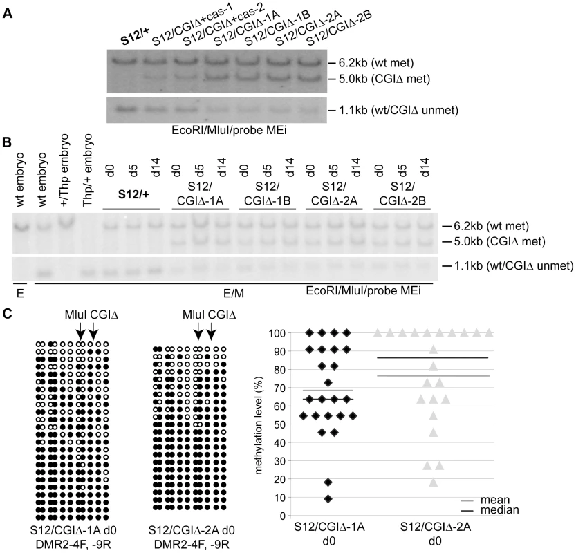 The methylation-free state of the paternal ICE depends on the CGI.