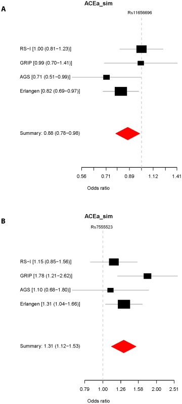 Association of rs11656696 and rs7555523 with glaucoma.