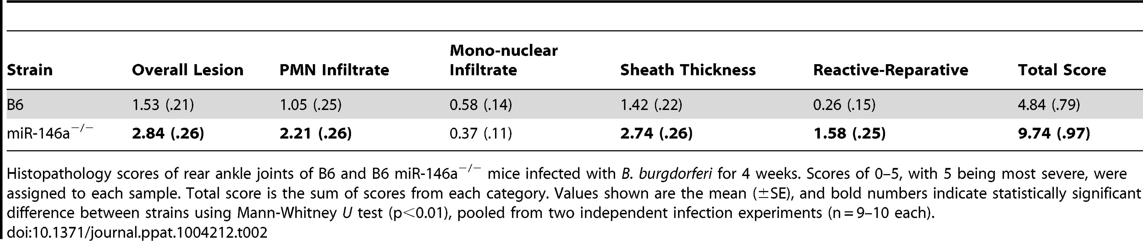Histopathology scores of arthritis severity for B6 and B6 miR-146a<sup>−/−</sup> mice.