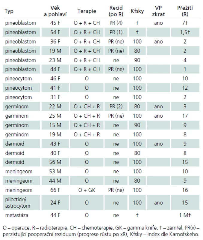 Soubor operovaných pacientů na Neurochirurgickém oddělení Krajské nemocnice Liberec (1994–2013).