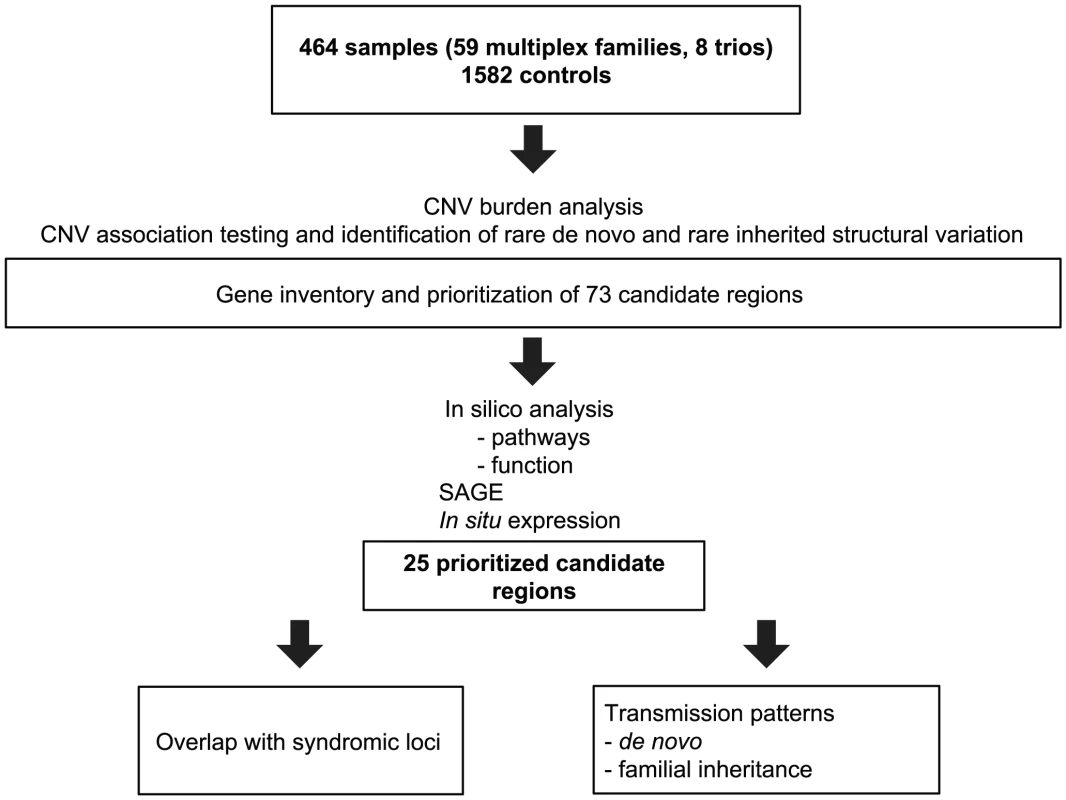 Summary overview of the workflow for CNV detection.