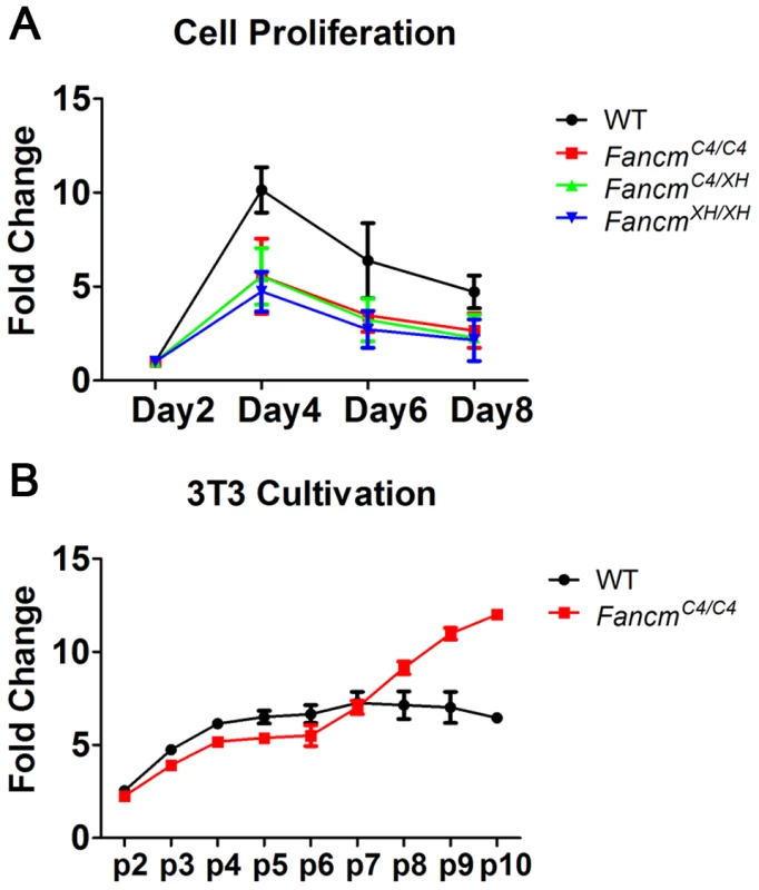 <i>Fancm<sup>C4/C4</sup></i> MEFs undergo premature senescence, but are not sensitive to interstrand crosslinks.