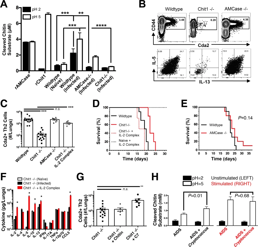 Chitotriosidase Promotes Chitin Recognition and Th2 Cell-mediated Disease.