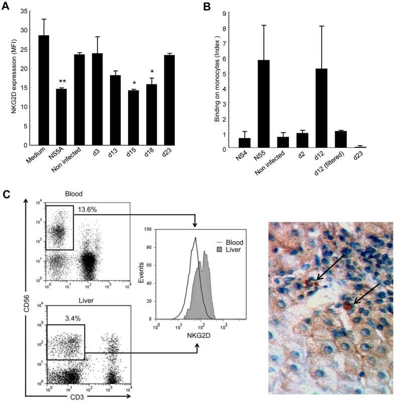 Supernatants of HCV-infected Huh-7.5.1 cells reproduce the effect of recombinant NS5A.