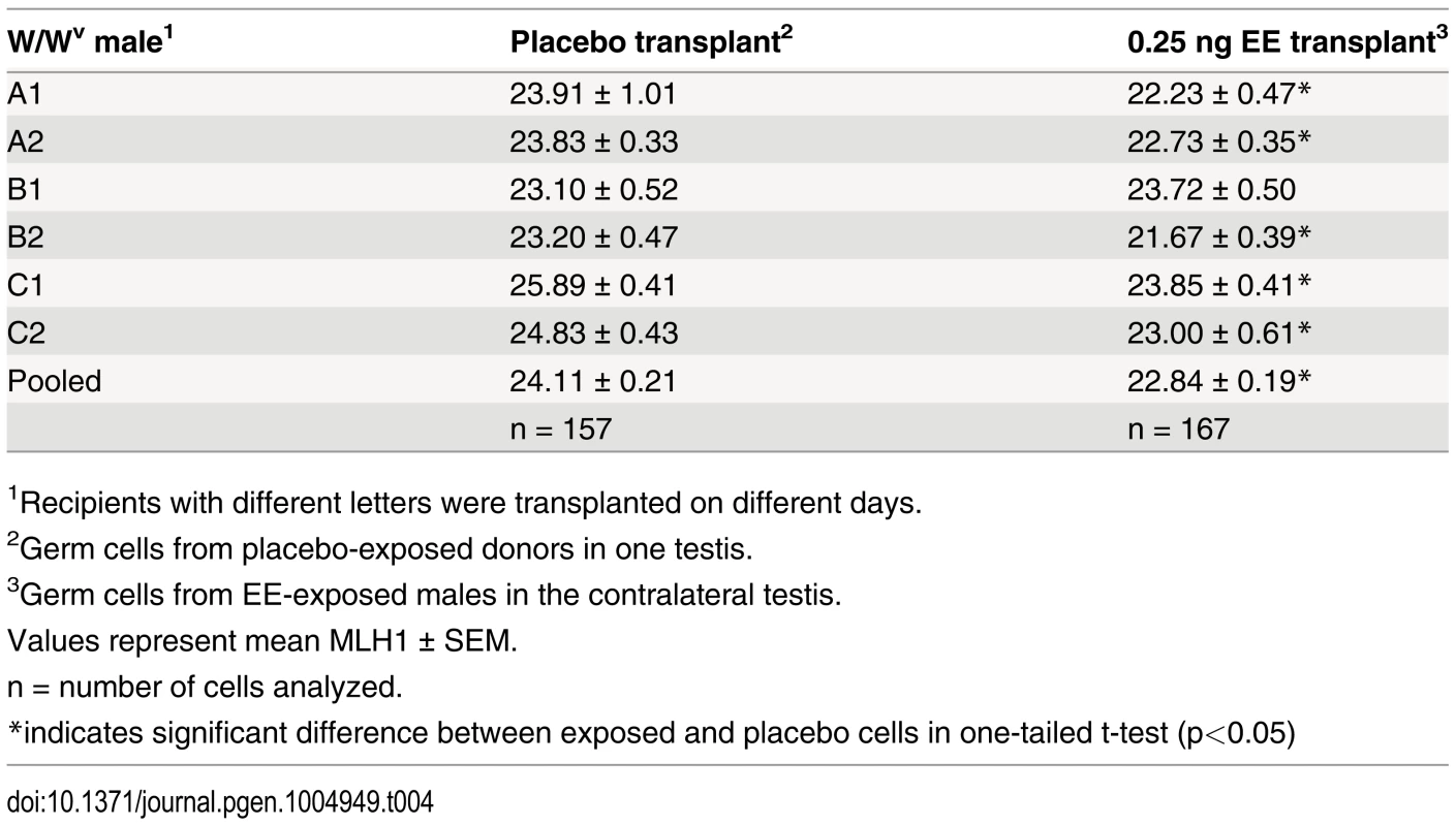 Recombination in transplanted males.