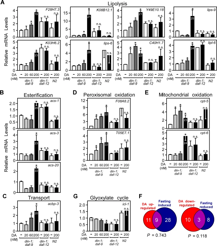 Regulation of fat utilization genes by DAF-12 in <i>C</i>. <i>elegans</i>.
