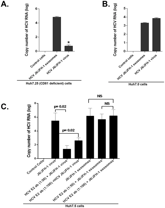 CD81 deficiency or anti-HCV E2 antibody treatment does not block effective HCV transmission by exosomes.