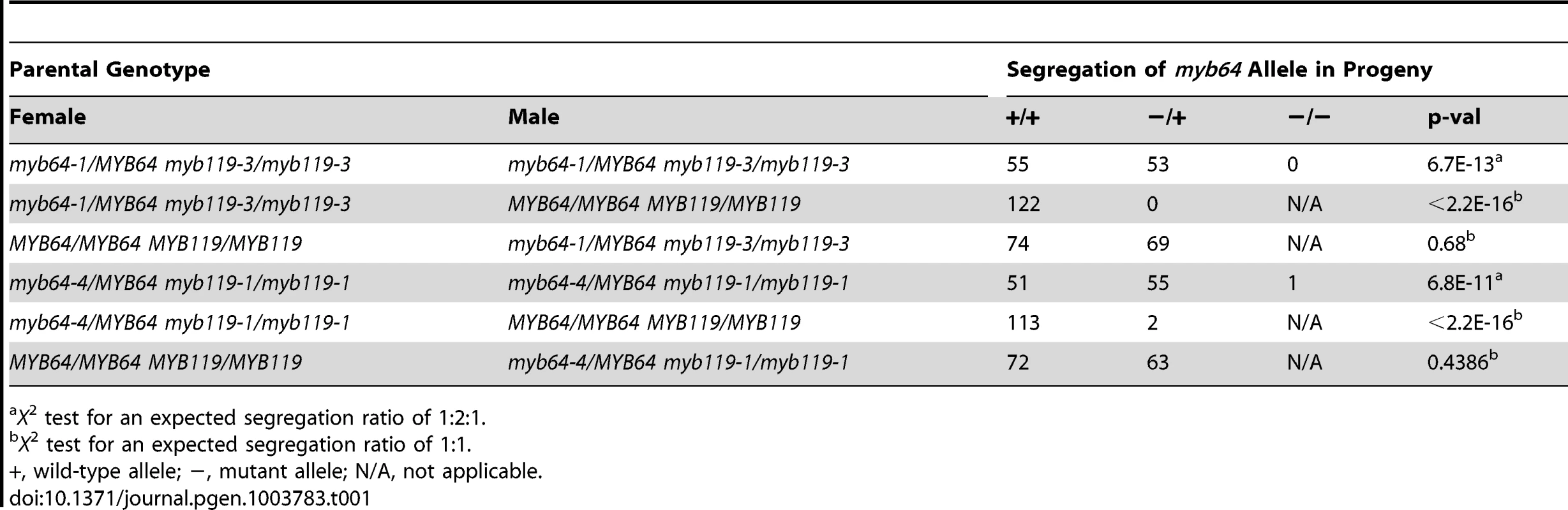 Segregation of <i>myb64</i> alleles.
