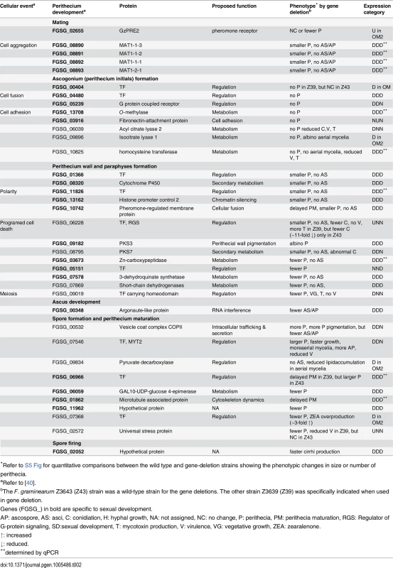 DEGs required for sexual development in <i>F. graminearum</i>.