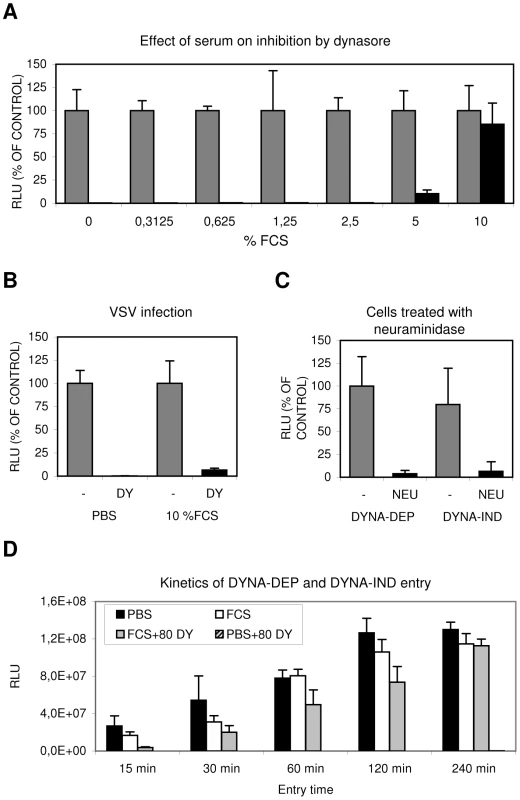 Serum induces a Dynasore resistant entry route.