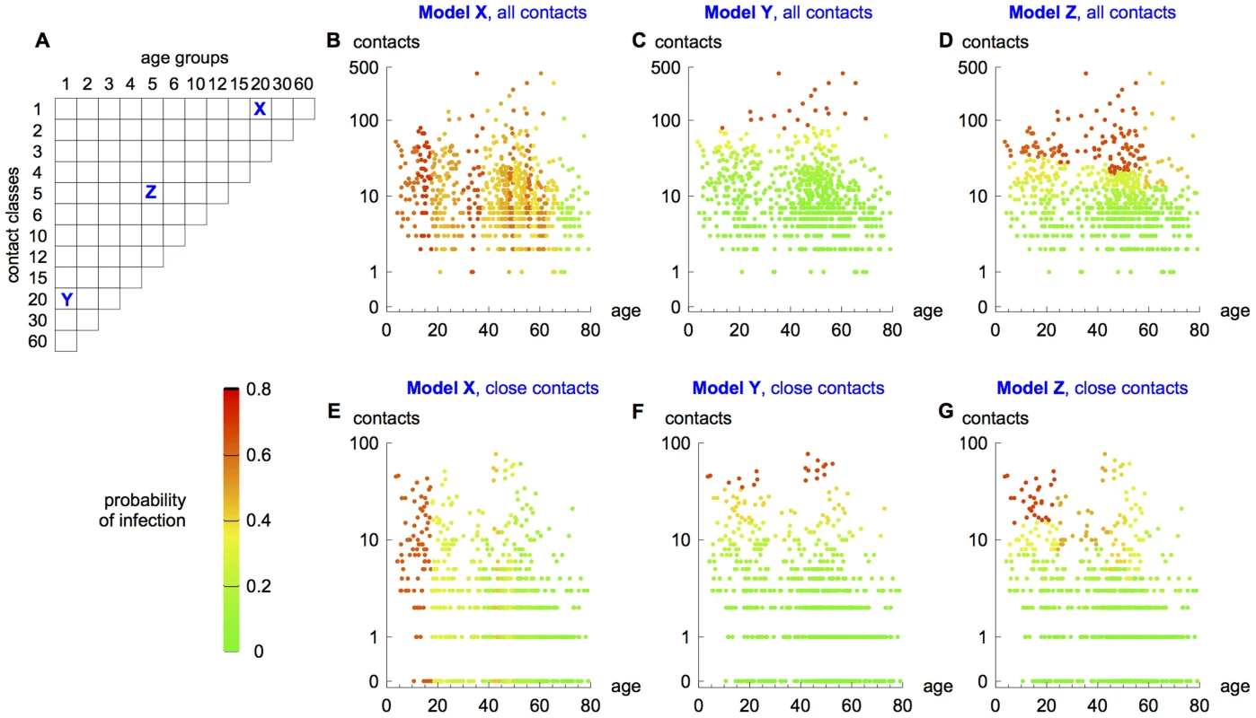 Risk of infection in different models.