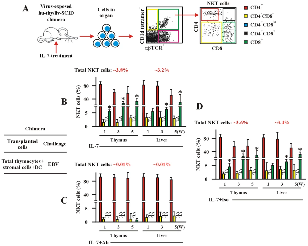 IL-7 is required for EBV-induced CD8<sup>+</sup> NKT cell development <i>in vivo</i>.
