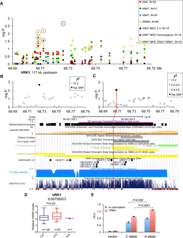 Genetic and gene expression analyses for chromosome 8 locus.