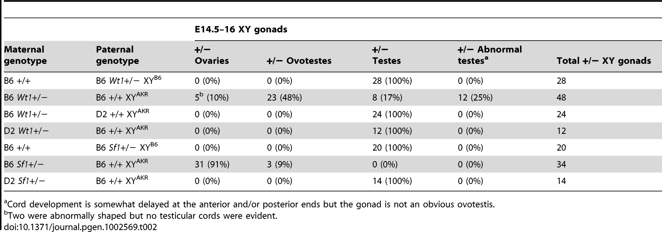 Gonad phenotype in E14.5–16 <i>Wt1+/−</i> and <i>Sf1+/−</i> XY fetuses.