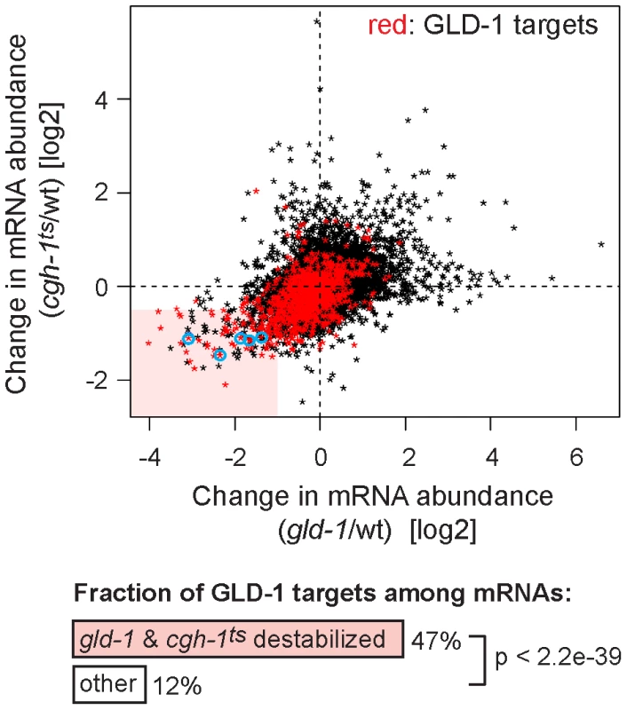 GLD-1 and CGH-1 are both required for the accumulation of a subset of GLD-1 targets.