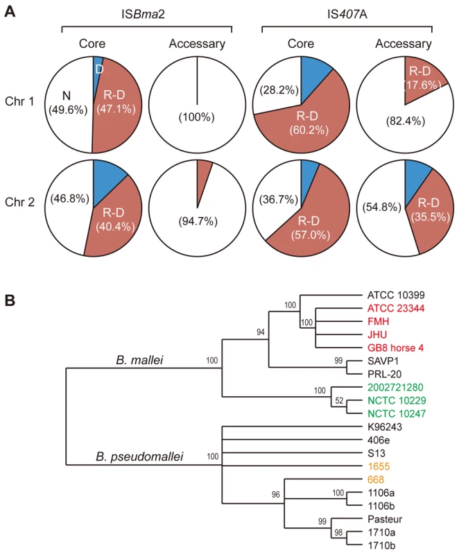 Patterns of IS-mediation in genomic deletions and rearrangements.