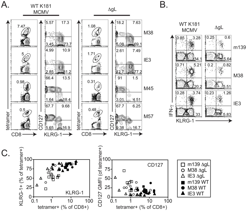 CD8+ T cell differentiation correlates with inflation.