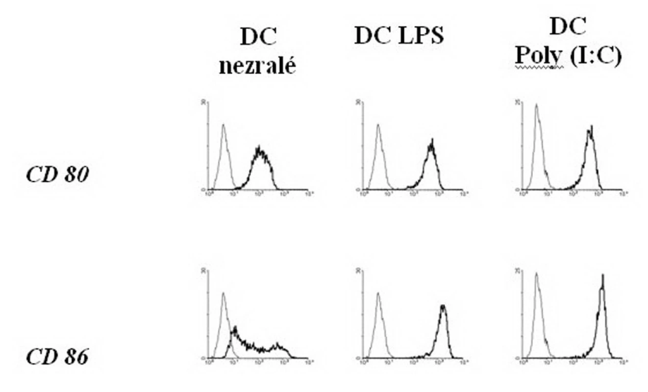 Zvýšení exprese povrchových kostimulačních molekul na DC po stimulaci LPS a Poly (I:C)
Fig. 3. Enhancement of the superficial co-stimulating molecules expression on DCs, following LPS and Poly (I:C) stimulation