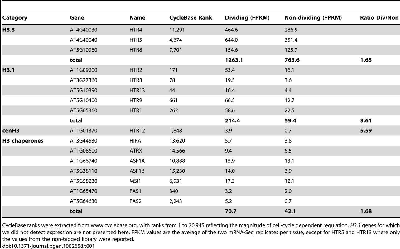 Expression of histone H3 and potential histone H3 chaperone genes in dividing and non-dividing tissue.