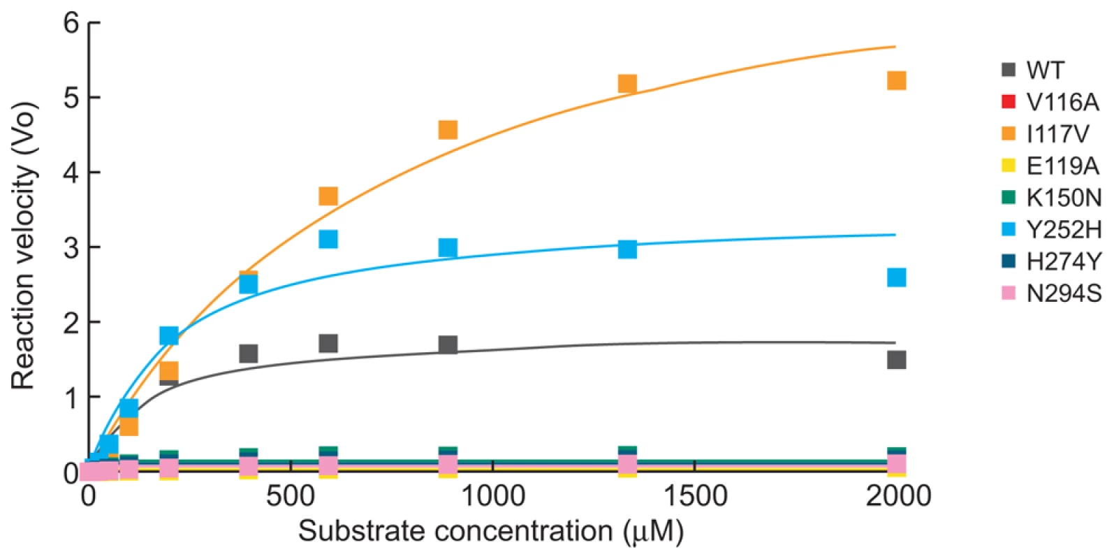 NA enzyme kinetics of the recombinant A/Turkey/15/06-like (H5N1) viruses.