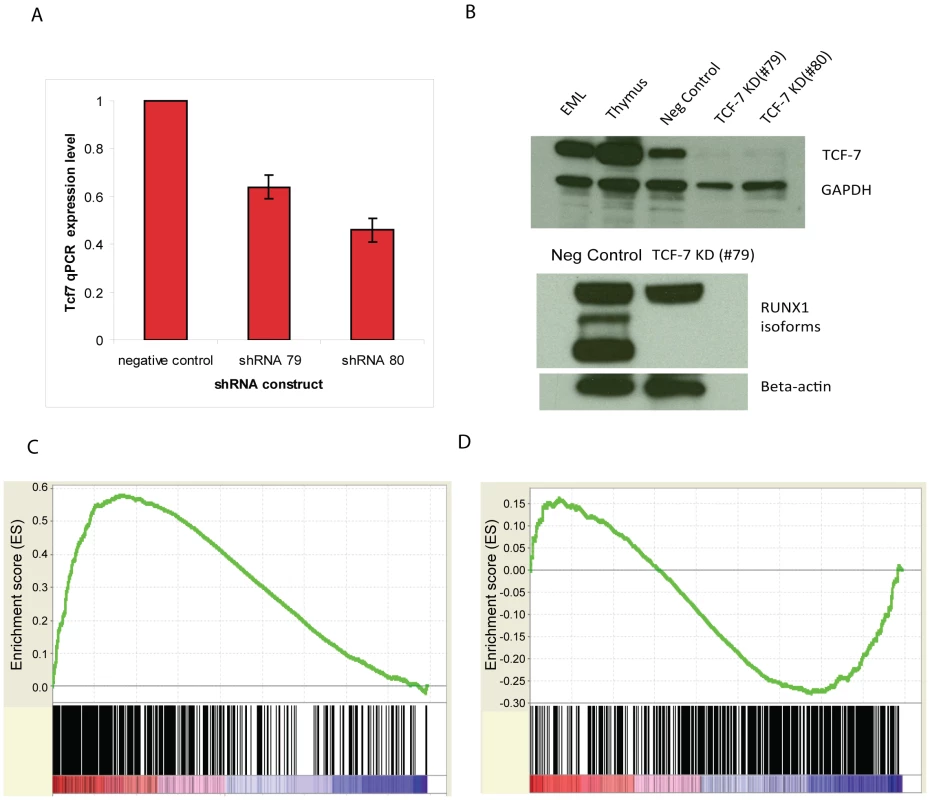 <i>Tcf7</i> shRNA gene knockdown experiments provide functional evidence.
