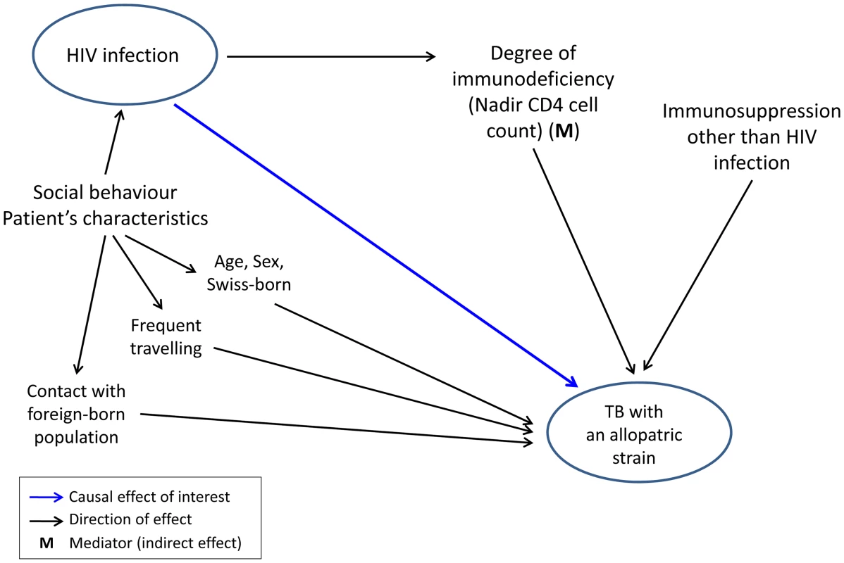 Graphical model showing direct and indirect potential effects of HIV infection on tuberculosis (TB) caused by an allopatric <i>Mycobacterium tuberculosis</i> strain, in the context of other potential factors influencing this association.