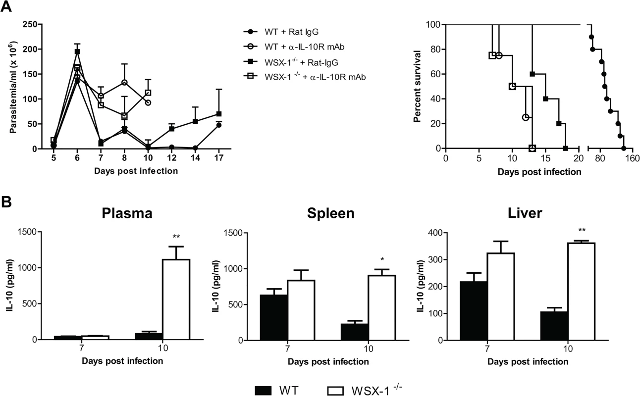 IL-10 production is not impaired in IL-27R<sup>-/-</sup> (WSX-1<sup>-/-</sup>) mice infected with <i>T</i>. <i>congolense</i>.