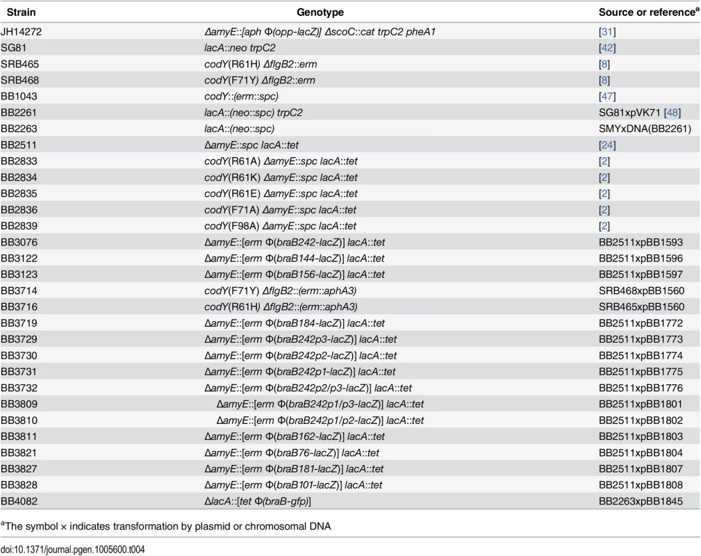 <i>B</i>. <i>subtilis</i> strains used.