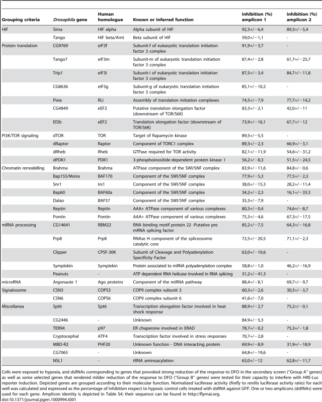 List of genes that scored as positives at the tertiary screen.