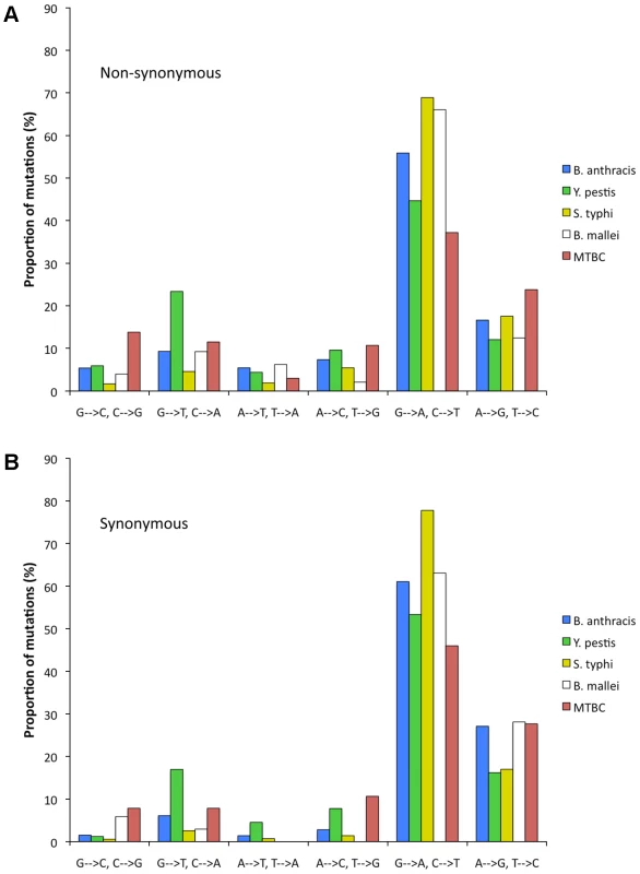Relative rates of the six nucleotide pair mutations.