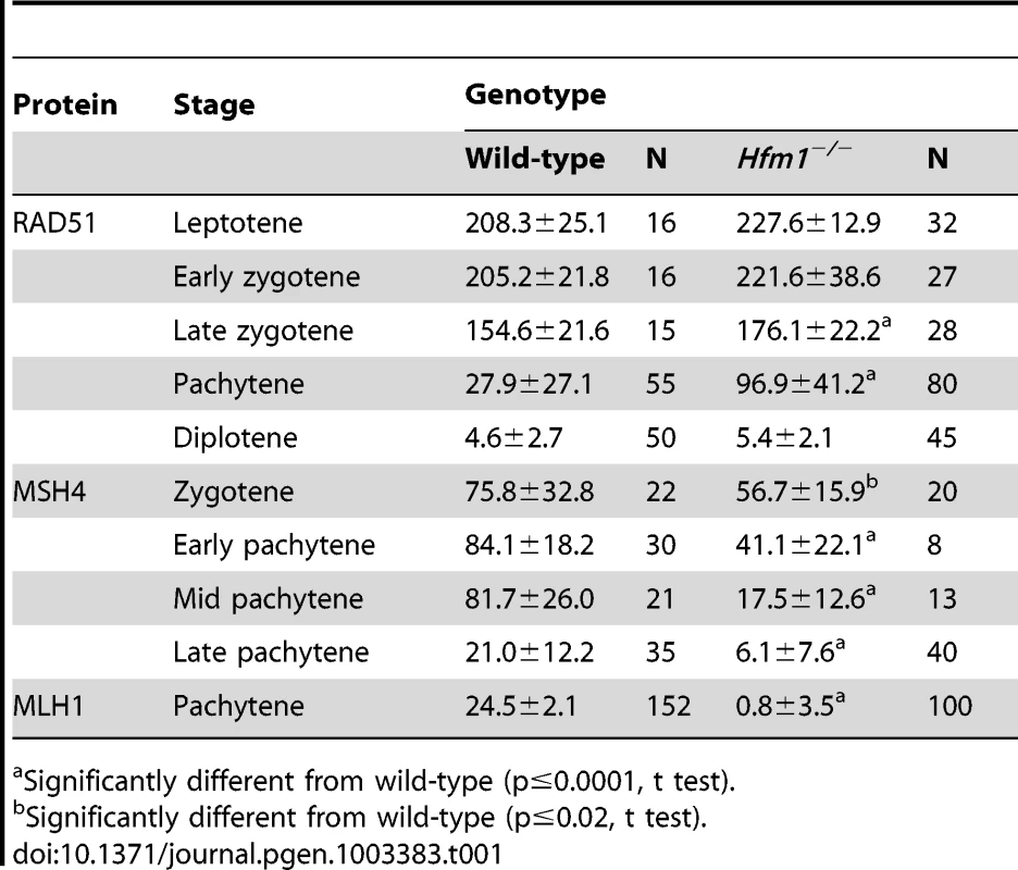Number of recombination-associated foci in spermatocytes.