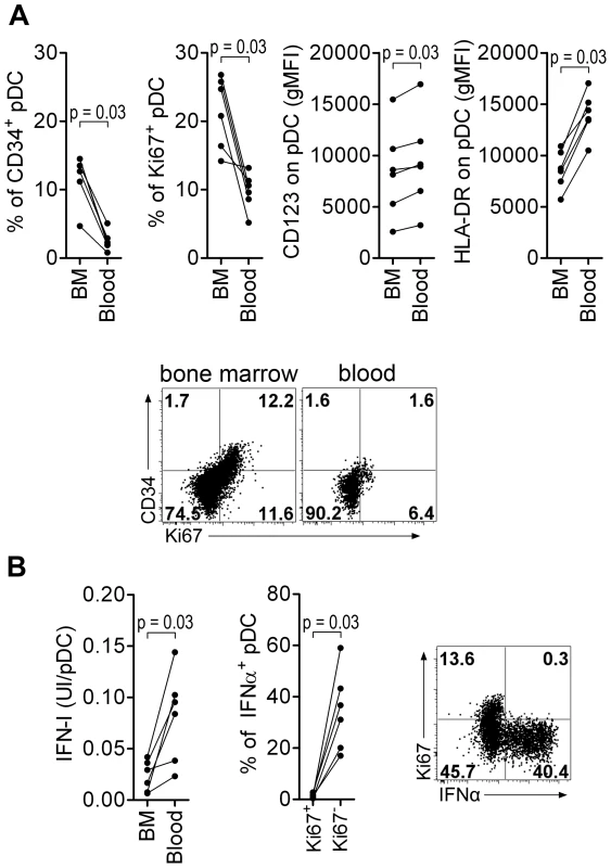 Macaque bone marrow pDC express lower CD123 and HLA-DR, display higher percentages of CD34+ and Ki67+ precursors than blood pDC, and are poor IFN-I producers.