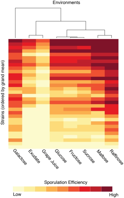 Sporulation efficiencies of the strains clustered by environment.