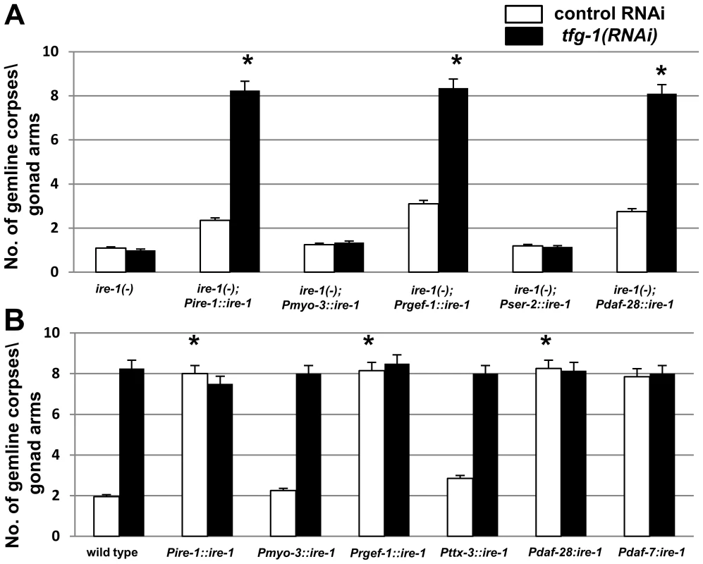 Over-expression of <i>ire-1</i> in the ASI pair of amphid neurons is sufficient to induce germline apoptosis independently of ER stress.