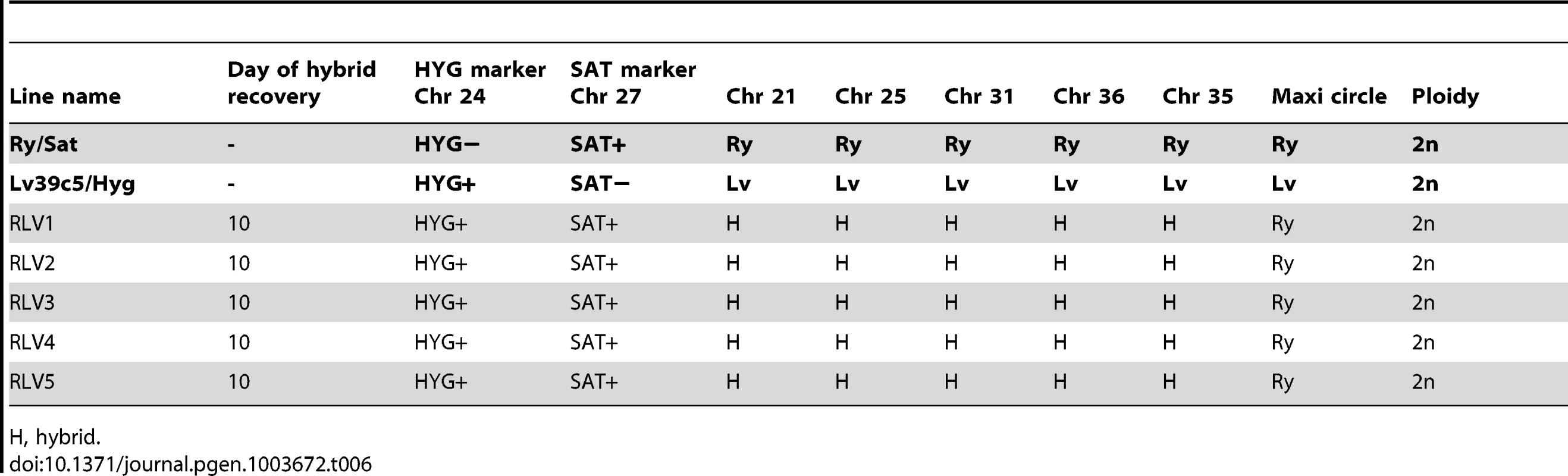 Summary of Ry/Sat×LV39c5/Hyg hybrid genotypes generated in <i>P. duboscqi</i>.