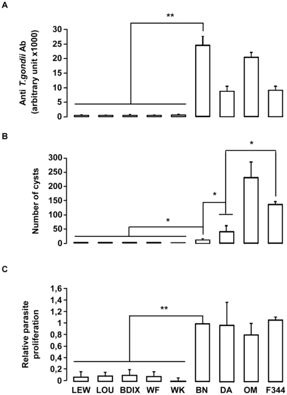 <i>In vivo</i> and <i>in vitro</i> phenotypes of the nine inbred strains following <i>T. gondii</i> infection.
