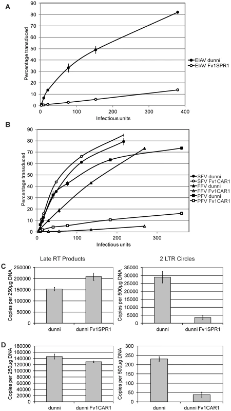 Staging restriction blocks in novel <i>Fv1</i>s.