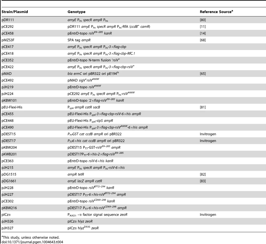 Plasmid list.
