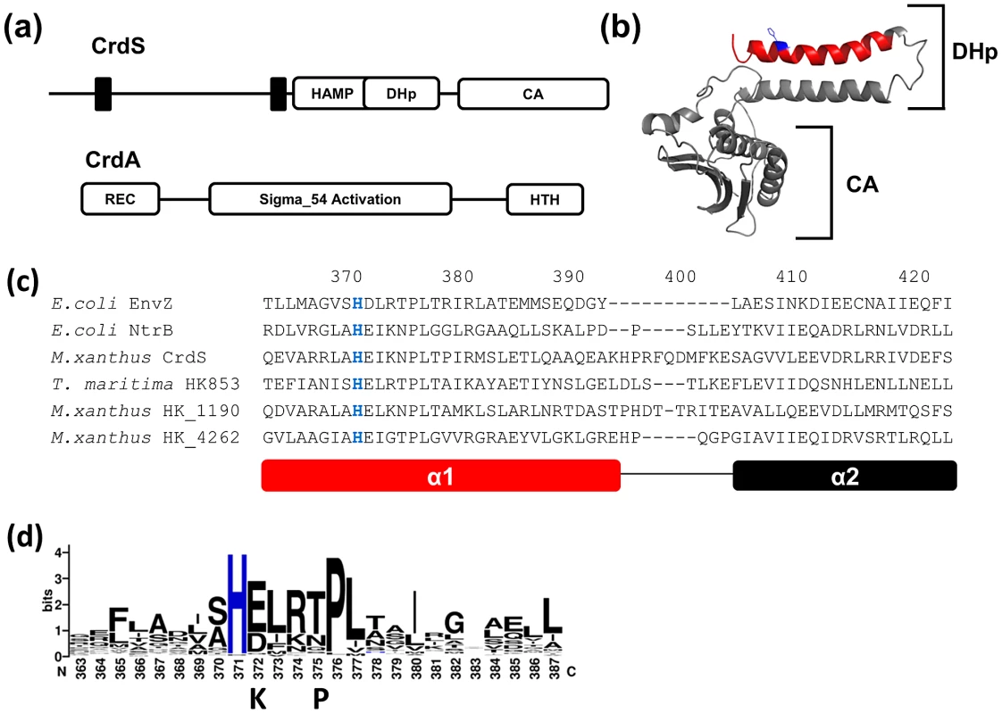Sequence Analysis of CrdS and HisKA Domains.
