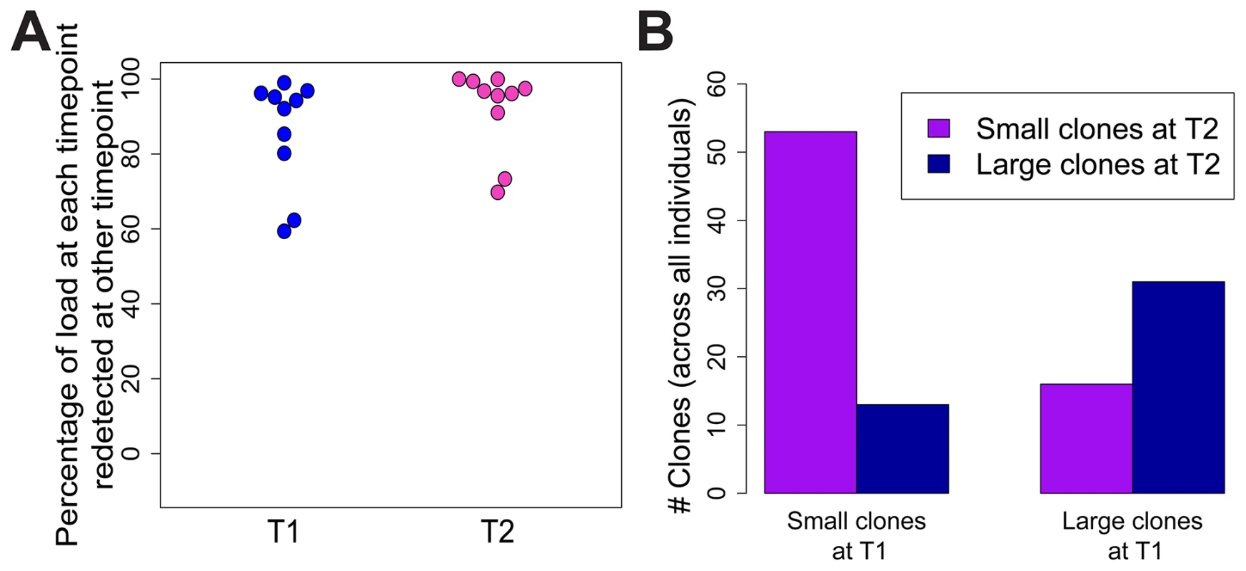 HTLV-2 expanded clones are long-lived and stable.