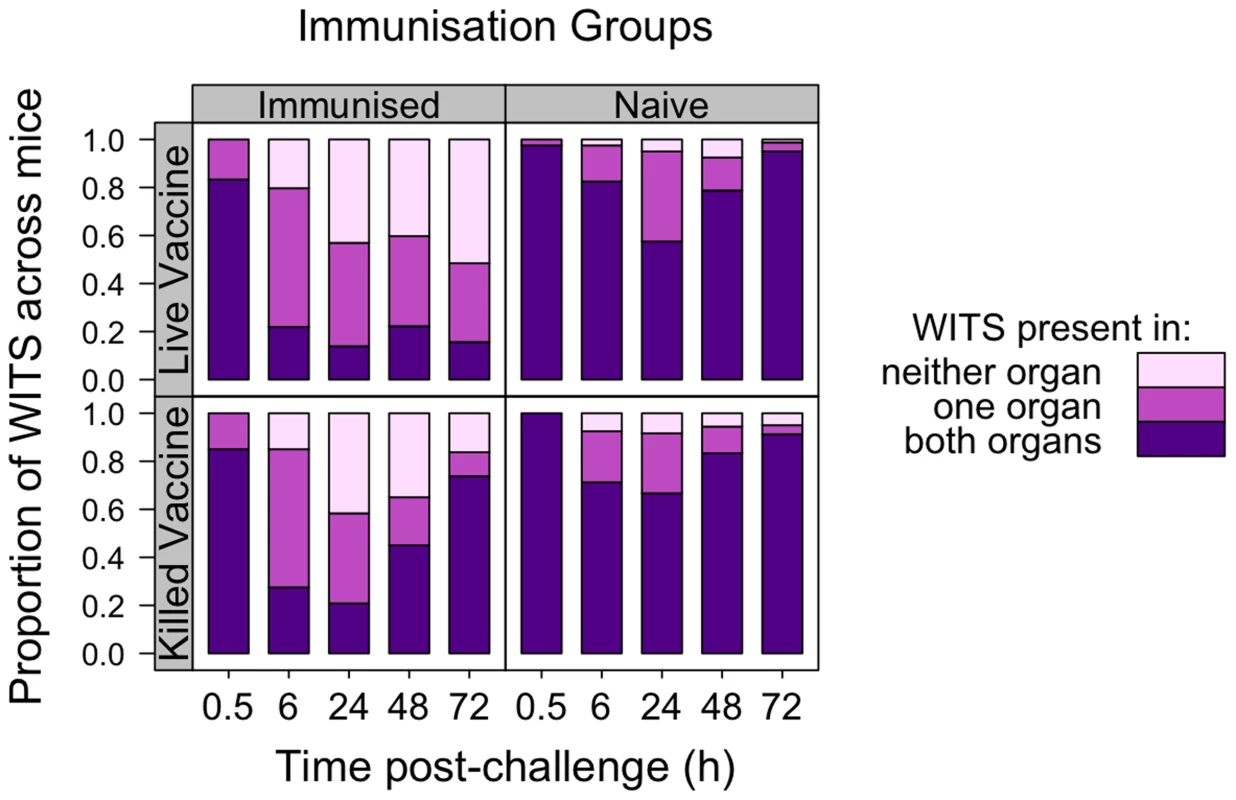 Co-occurrence of WITS in the livers and spleens during secondary challenge.