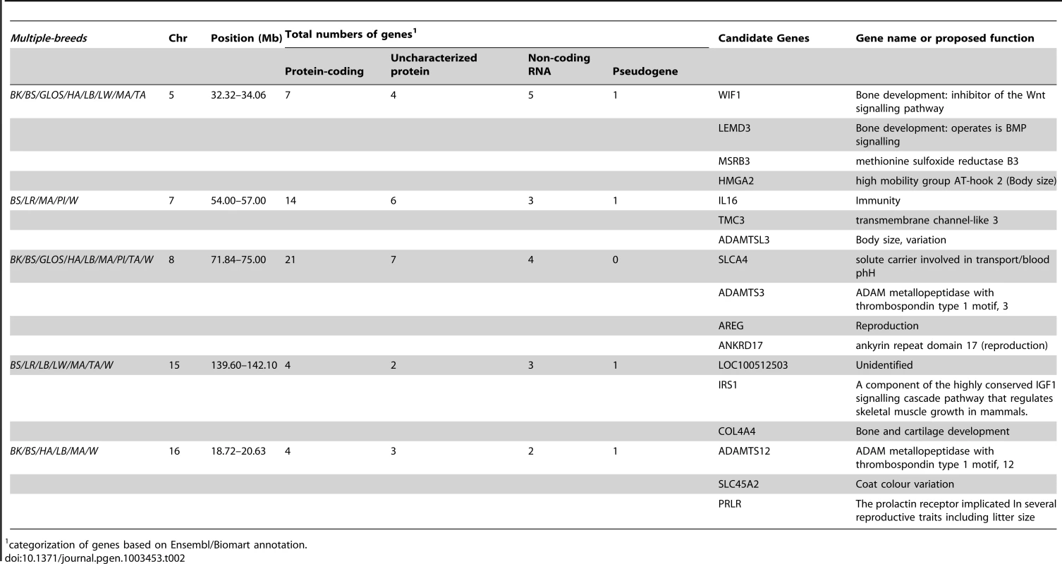 Summary statistics for genomic regions with outlier F<sub>ST</sub>-windows that were identified across 5 or more breeds.