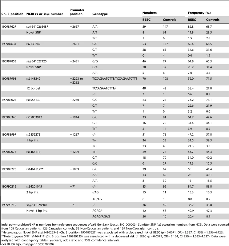 Single nucleotide polymorphisms and insertion/deletion polymorphisms in <i>ΔNp63</i> promoter found in BEEC patients and normal controls.