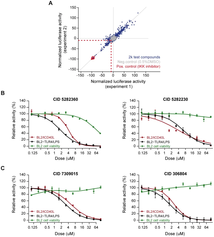Small molecule screen of CD40-mediated NF-kB signaling in BL2 cells.
