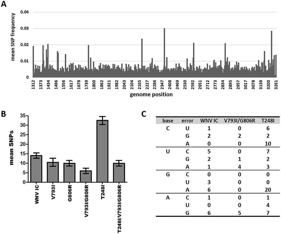 Strain-specific differences in mutational spectra breadth and composition.