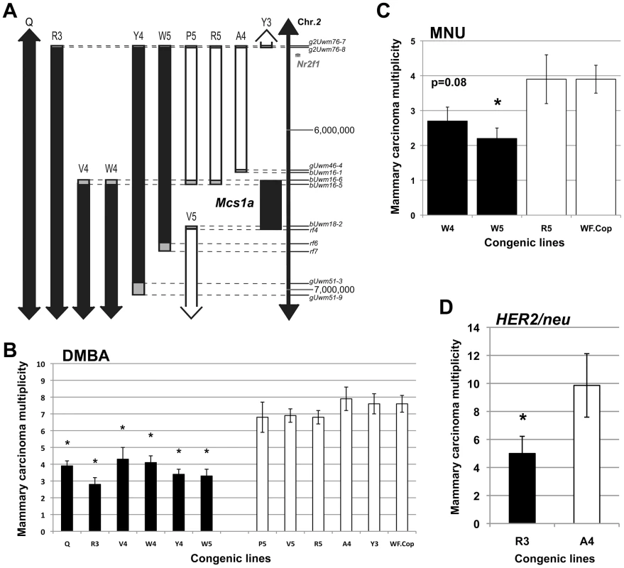 The rat mammary carcinoma susceptibility locus <i>1a</i> (<i>Mcs1a</i>) is located in a gene desert and confers resistance to three distinctly acting carcinogenic treatments.