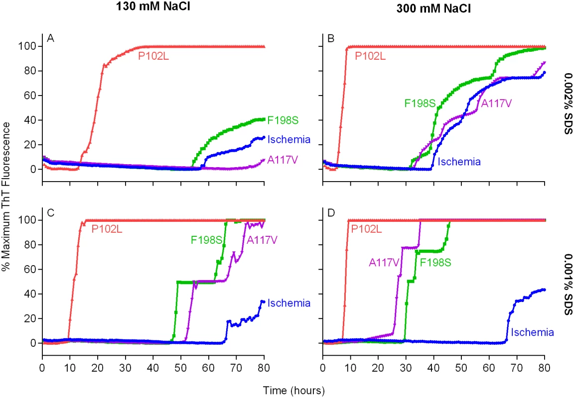 Detection of GSS P102L, F198S and A117V PrP<sup>D</sup> types by RT-QuIC using BV rPrP<sup>Sen</sup>, 300mM NaCl and 0.001% SDS.