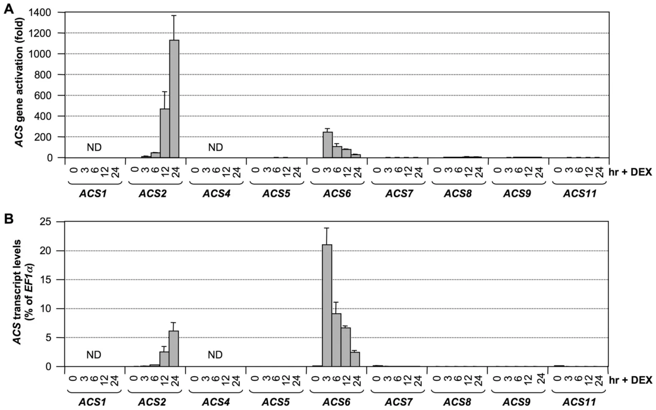 Activation of <i>ACS</i> gene expression after MPK3/MPK6 activation in the gain-of-function <i>DD</i> Arabidopsis seedlings.
