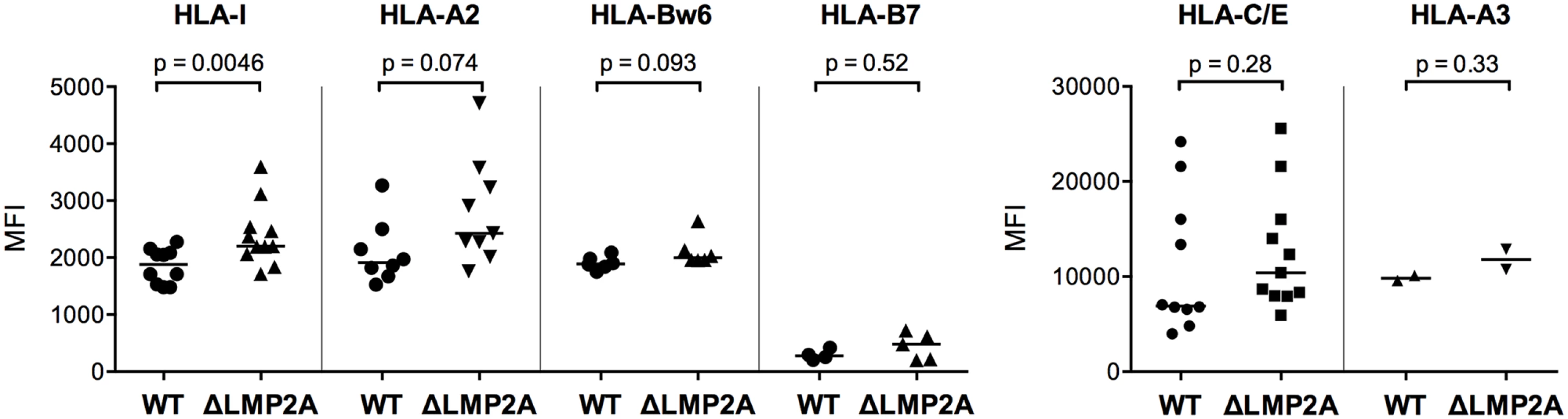 Expression of MHC class I on the surface of WT and ΔLMP2A LCLs.